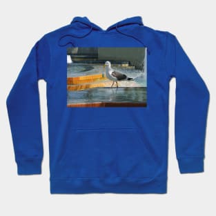 Seagull strut Hoodie